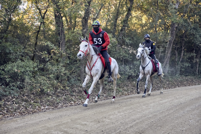 Raid Internacional Hípic 1