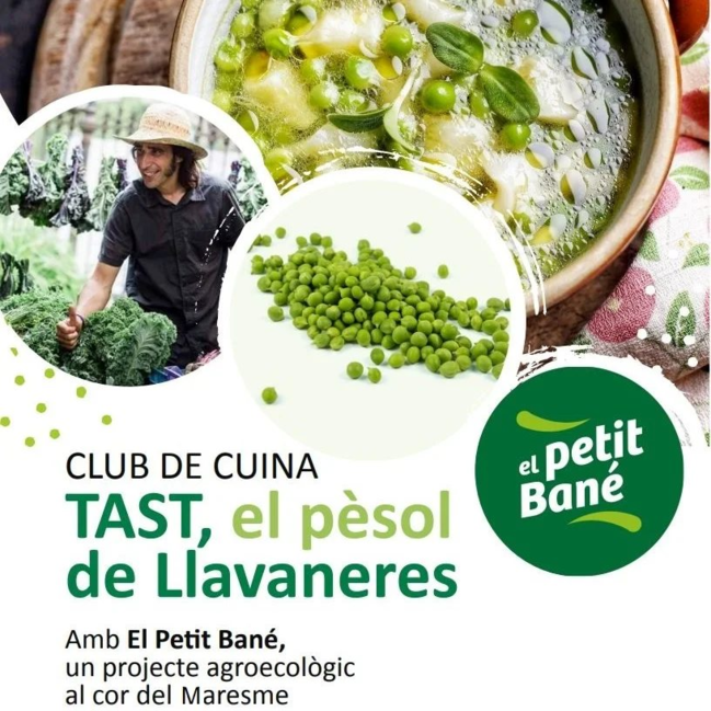 Club de Cuina - Tast, el pèsol de Llavaneres amb el petit Bané 1