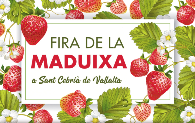 Fira de la Maduixa a Sant Cebrià de Vallalta 1