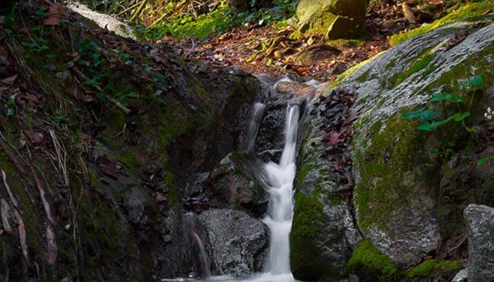 Passejada guiada: L’aigua no cau del cel