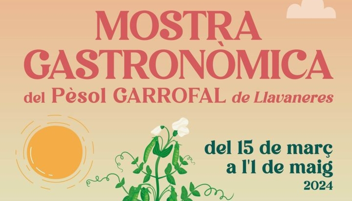 Mostra Gastronòmica del Pèsol Garrofal de Llavaneres 2024