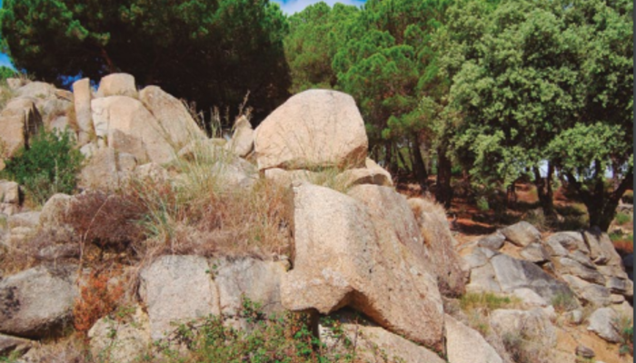 Hacemos de geólogos por un día : rocas y relevo del itinerario del Rocar a Tiana