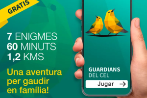 Guardians del cel