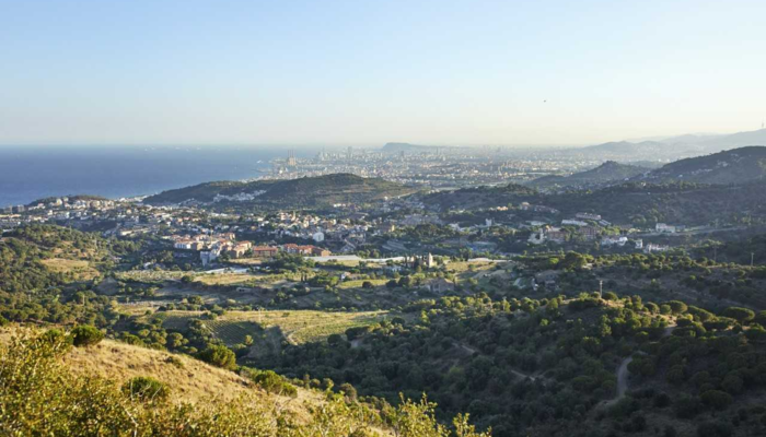 Sortida de natura. Alella Mediterrània