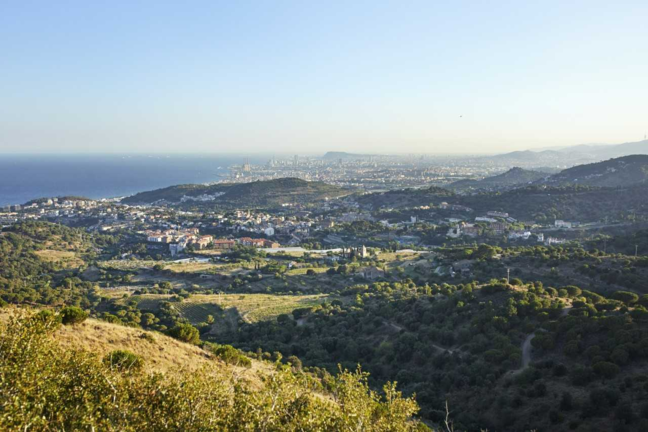 Sortida de natura. Alella Mediterrània 1