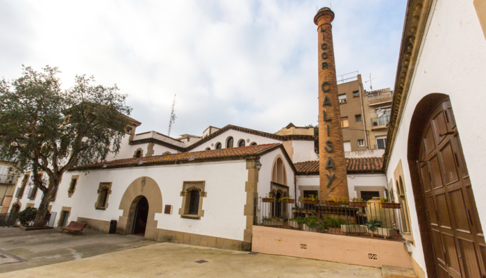 Descobrim Arenys de Mar amb Camins d'Ateneus