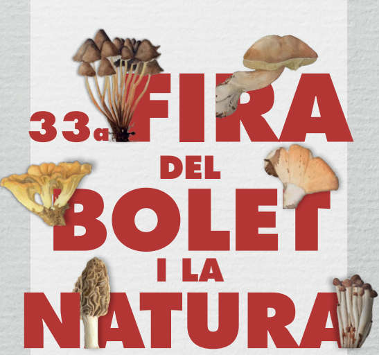 33a edición de la Feria de la Seta y la Naturaleza de Vilassar de Dalt 1