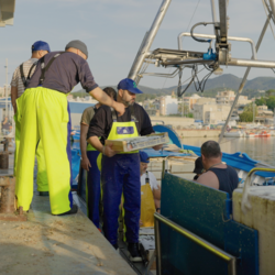 Descobrint els tresors rurals i costaners del Maresme