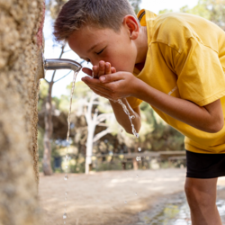 Consells per gaudir aquest estiu de la natura al Maresme