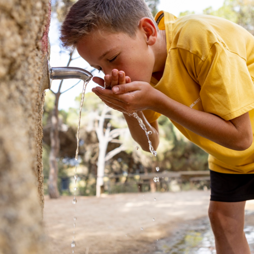 Consells per gaudir aquest estiu de la natura al Maresme