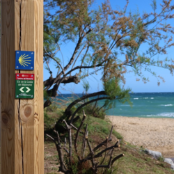 Un recorregut amb vistes al mar: l'itinerari turístic de l'Eix de la Costa al Maresme