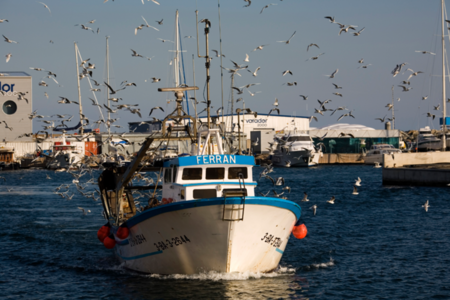 Embarcació entrant a un port