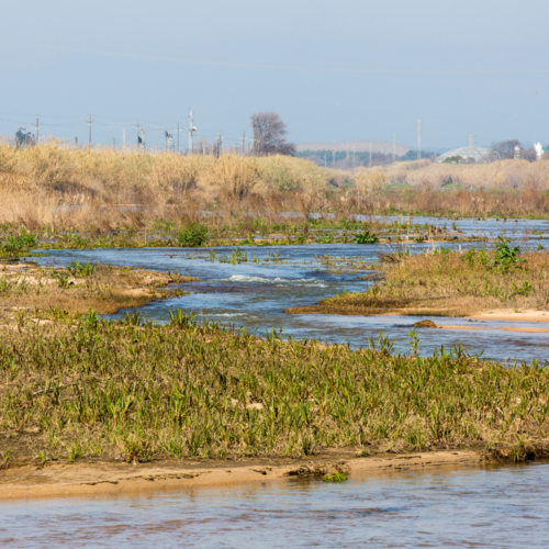 A bike route for a family day out along the Tordera river