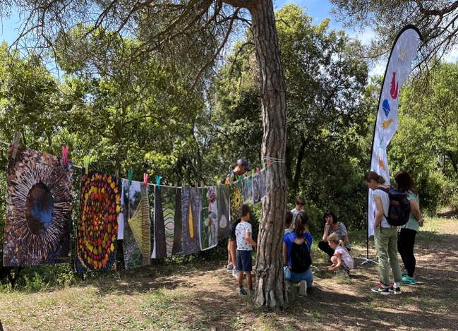 Matinal en el Parque de la Serralada Litoral 1