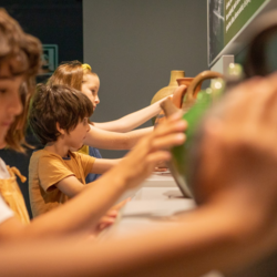 Museos accesibles en el Maresme