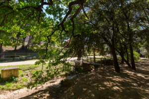 Parc de la font de la llorita