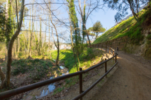 Parc dels Vegetals