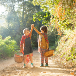 8 propuestas para disfrutar del otoño en familia