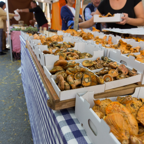 Delicias de otoño en el Maresme: sabores auténticos que no te puedes perder