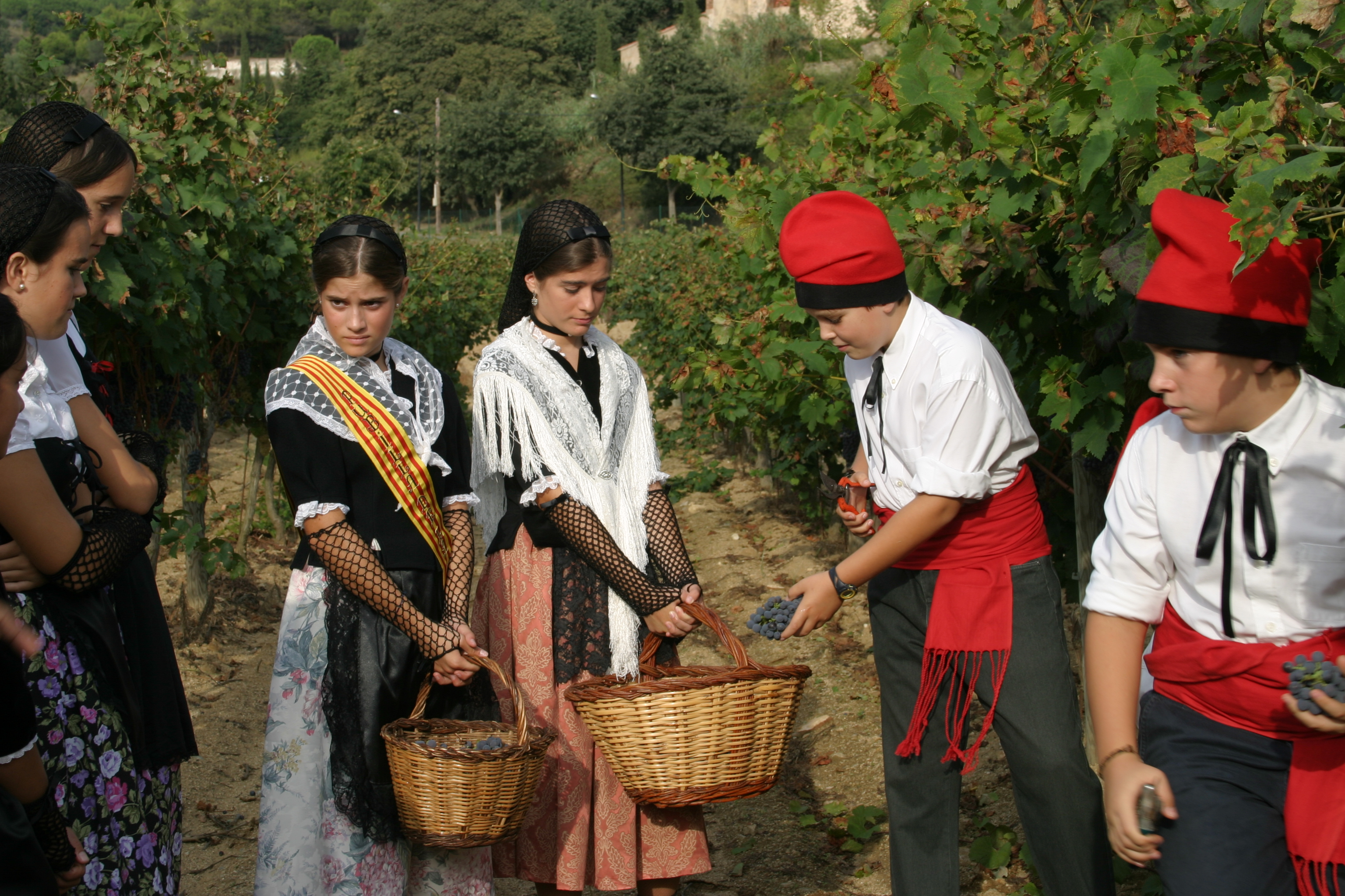 Festa de la Verema