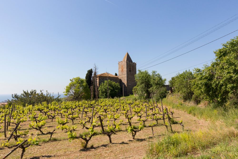 Ermita de l'Alegria a Tiana