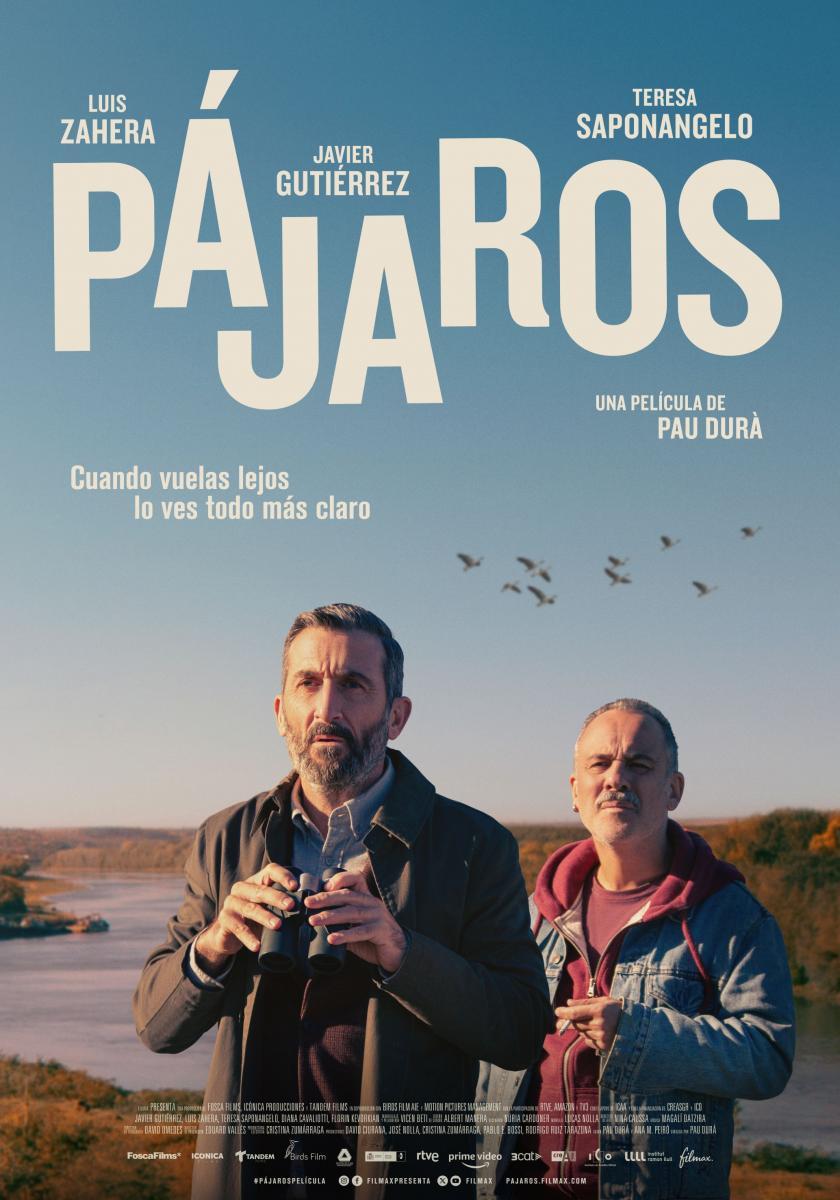 Pájaros