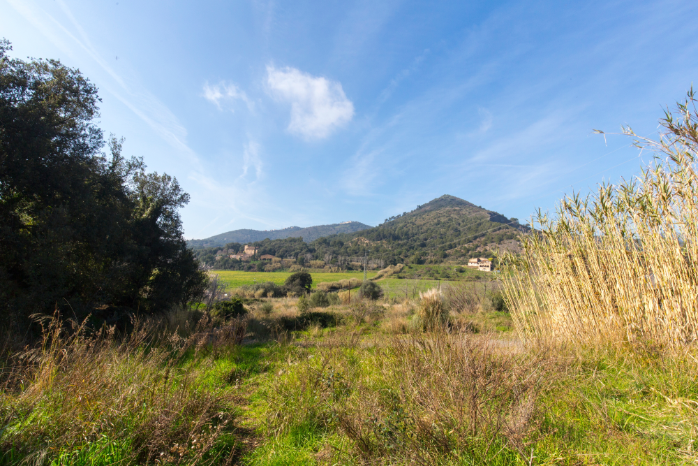 Ruta orígens Pineda de Mar. Foto de JM Arenaza.